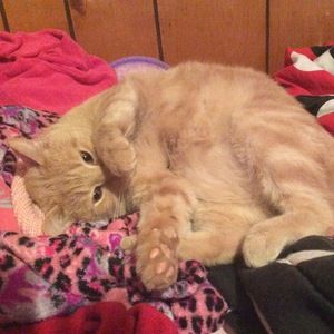 Meet your Posher, Kimberly